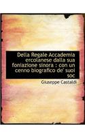 Della Regale Accademia Ercolanese Dalla Sua Foniazione Sinora