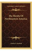 The Shrubs Of Northeastern America