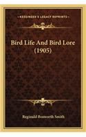Bird Life And Bird Lore (1905)