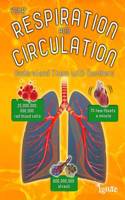 Your Respiration and Circulation