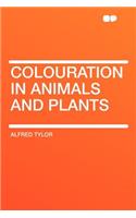 Colouration in Animals and Plants