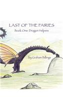 Last of the Fairies Book One