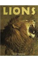 Lions: A Portrait of the Animal World