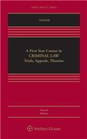 A First-Year Course in Criminal Law