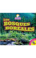 Los Bosques Boreales: (Explorando Los Ecosistemas)