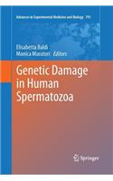 Genetic Damage in Human Spermatozoa