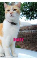 Diary