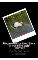 Woodrow Wilson Woodstork A true stork story (sort of)