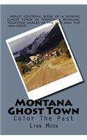 Montana GhostTown