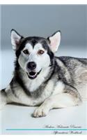 Alaskan Malamute Affirmations Workbook Alaskan Malamute Presents: Positive and Loving Affirmations Workbook. Includes: Mentoring Questions, Guidance, Supporting You.