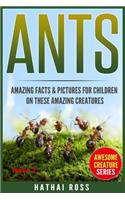 Ants