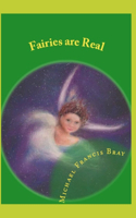 Fairies are Real
