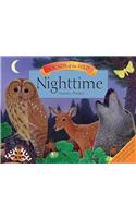 Sounds of the Wild: Nighttime