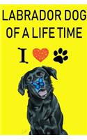 LABRADOR DOG OF A LIFE TIME - Notebook