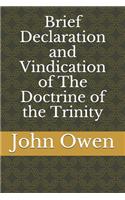 Brief Declaration and Vindication of The Doctrine of the Trinity
