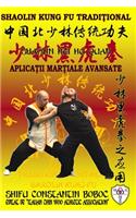 Shaolin Hei Hu Quan - Boxul Tigrului Negru de la Shaolin