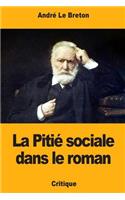 La Pitié sociale dans le roman