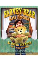 Harvey Bear Gets Rescued