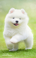 Puppies, I Love 2024 Pocket Planner