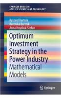 Optimum Investment Strategy in the Power Industry