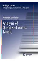 Analysis of Quantised Vortex Tangle