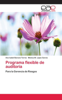 Programa flexible de auditoría