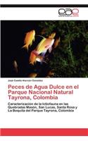 Peces de Agua Dulce En El Parque Nacional Natural Tayrona, Colombia