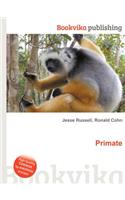 Primate