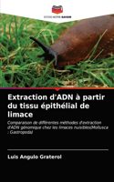 Extraction d'ADN à partir du tissu épithélial de limace