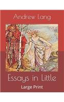 Essays in Little