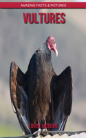 Vultures: Amazing Facts & Pictures