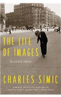 The Life of Images: Selected Prose