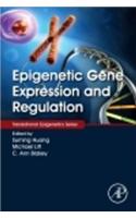 Epigenetic Gene Expression and Regulation