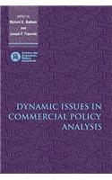 Dynamic Issues in Commercial Policy Analysis