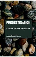 Predestination: A Guide for the Perplexed