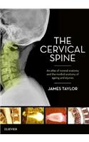 The Cervical Spine