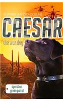 Caesar the War Dog 4: Operation Green Parrot