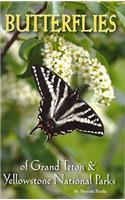 Butterflies of Grand Teton & Yellowstone National Parks