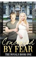 Concealed By Fear