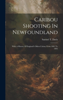 Caribou Shooting In Newfoundland