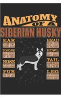 Anatomy Of A Siberian Husky