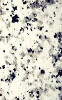 Marble Notebook