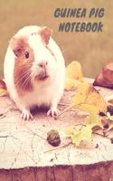 Guinea Pig Notebook