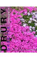 The Drury Gazette SPRING 2019