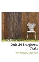 Storia del Bisorgimento D'Italia