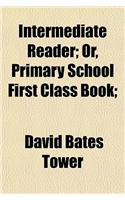 Intermediate Reader; Or, Primary School First Class Book;