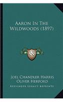 Aaron in the Wildwoods (1897)