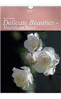 Delicate Beauties - Magnificent Roses 2017