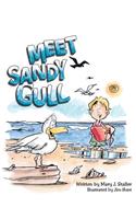 Meet Sandy Gull