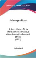 Primogeniture: A Short History Of Its Development In Various Countries And Its Practical Effects (1895)